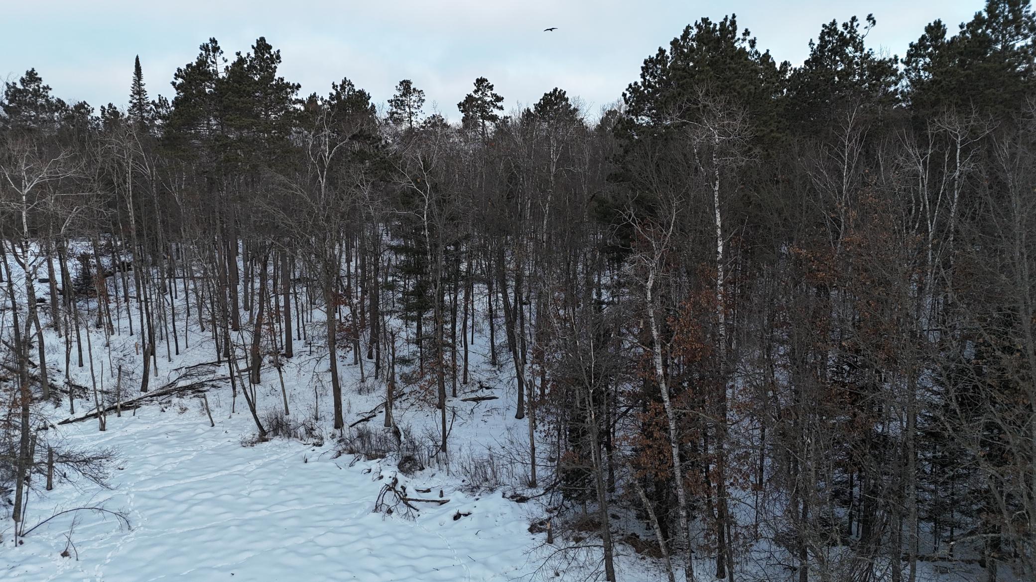 DJI_20260211080112_0189_D.JPG