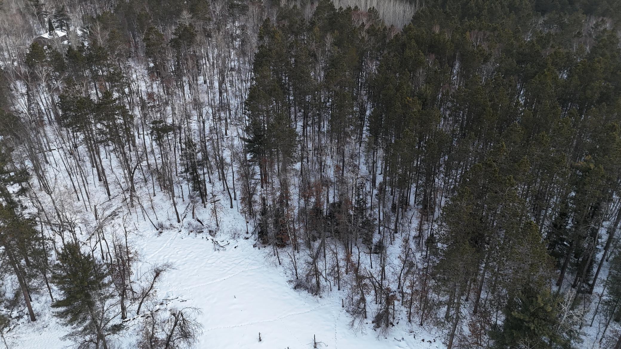 DJI_20260211080158_0191_D.JPG