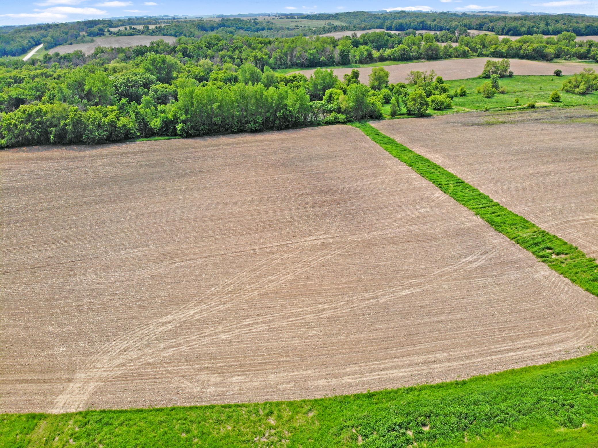 DJI_0450.jpg