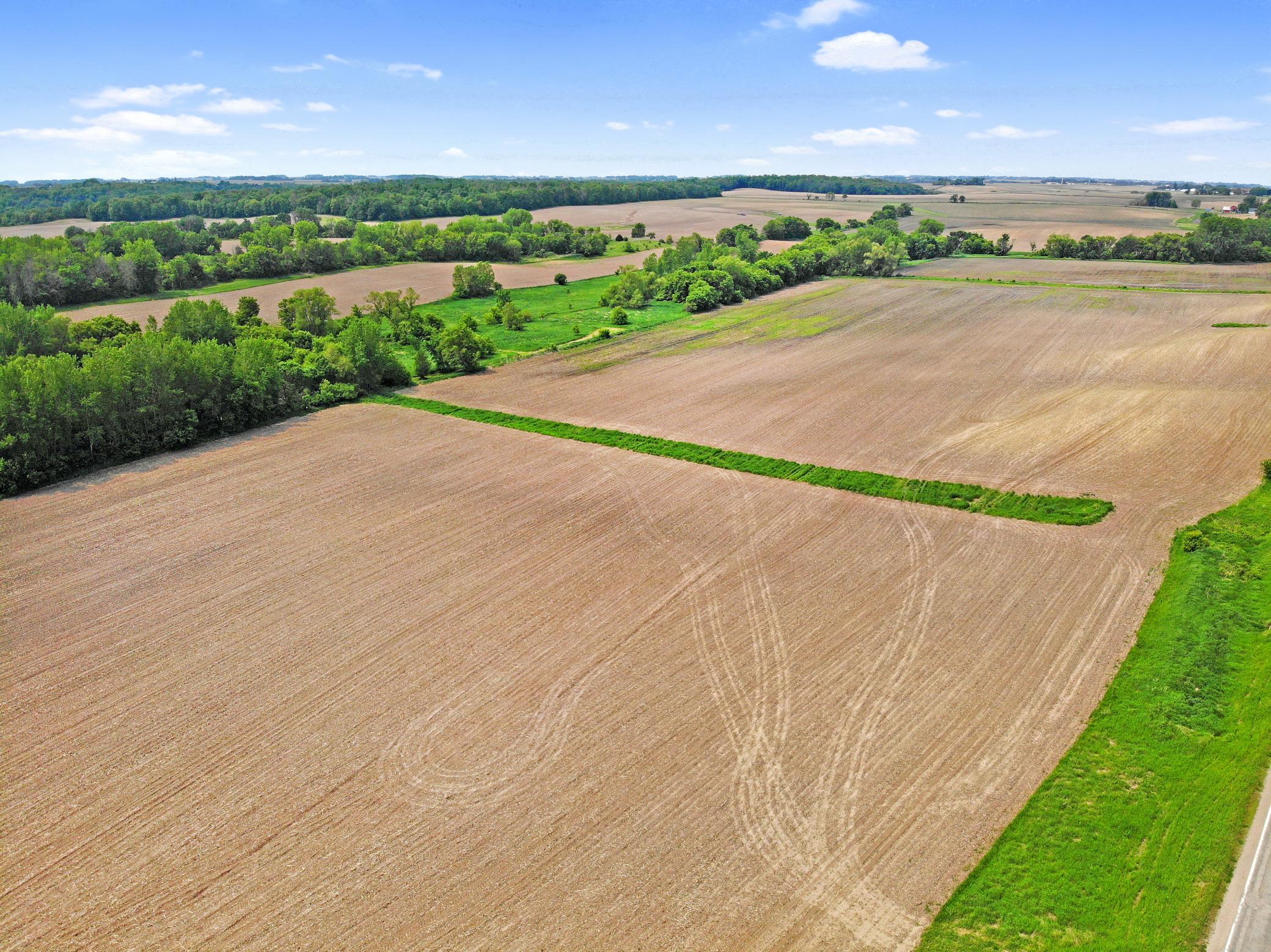 DJI_0451.jpg