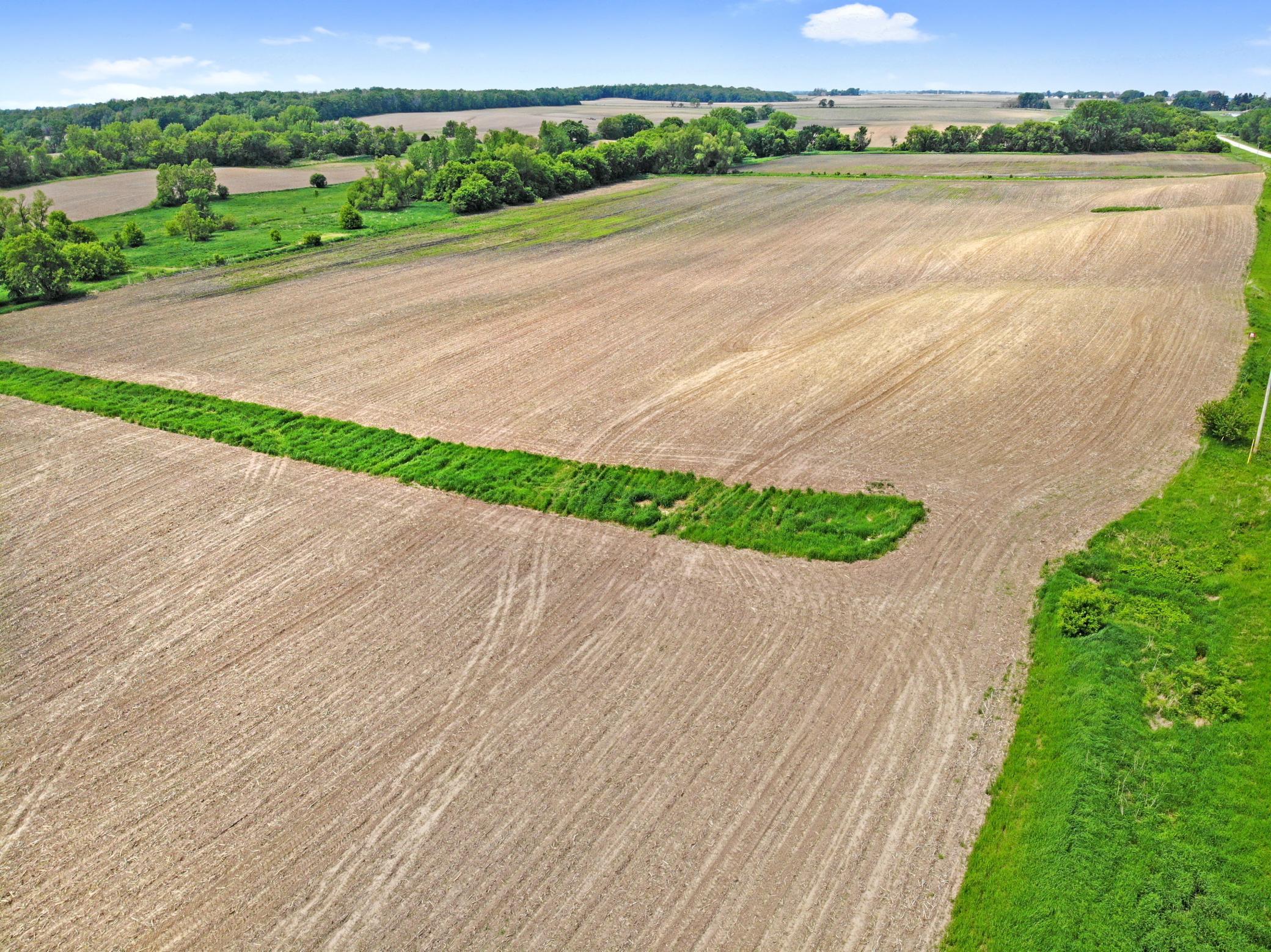 DJI_0449.jpg