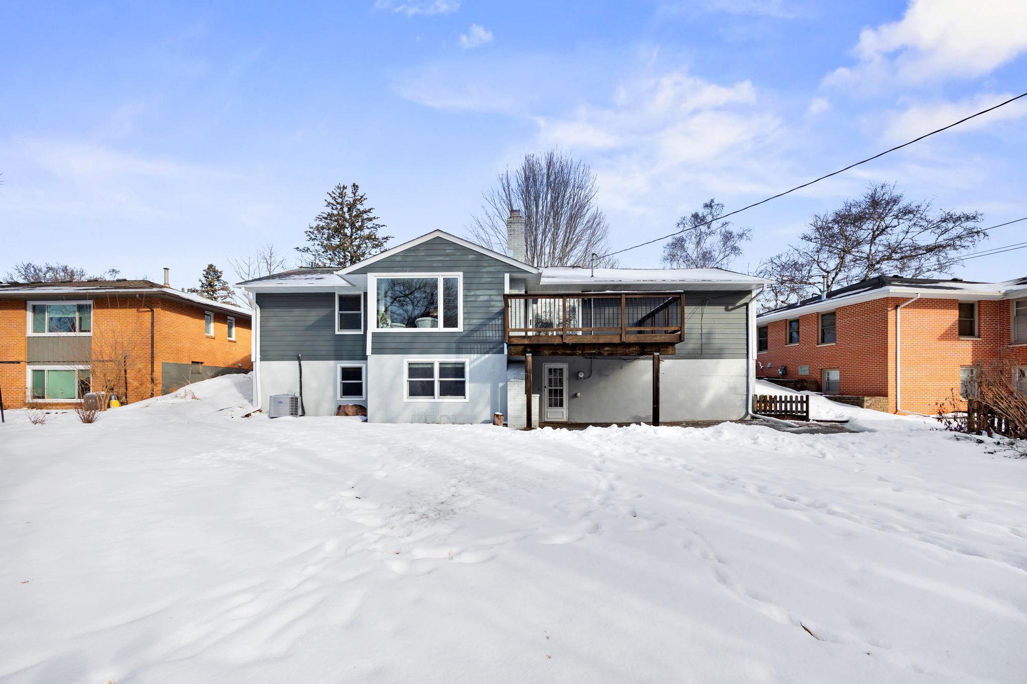 Winter views - a great time to watch wildlife in your backyard.