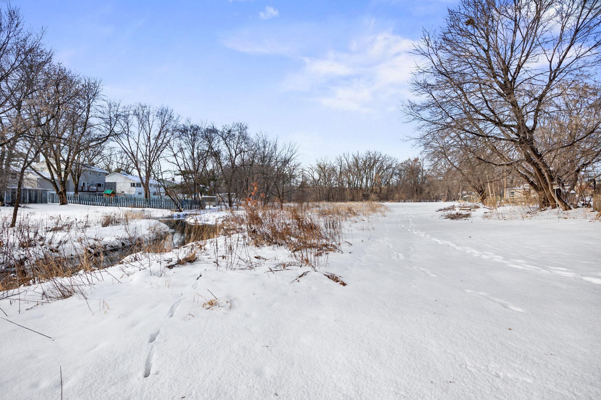 Animal tracks in the snow along the backyard creek.