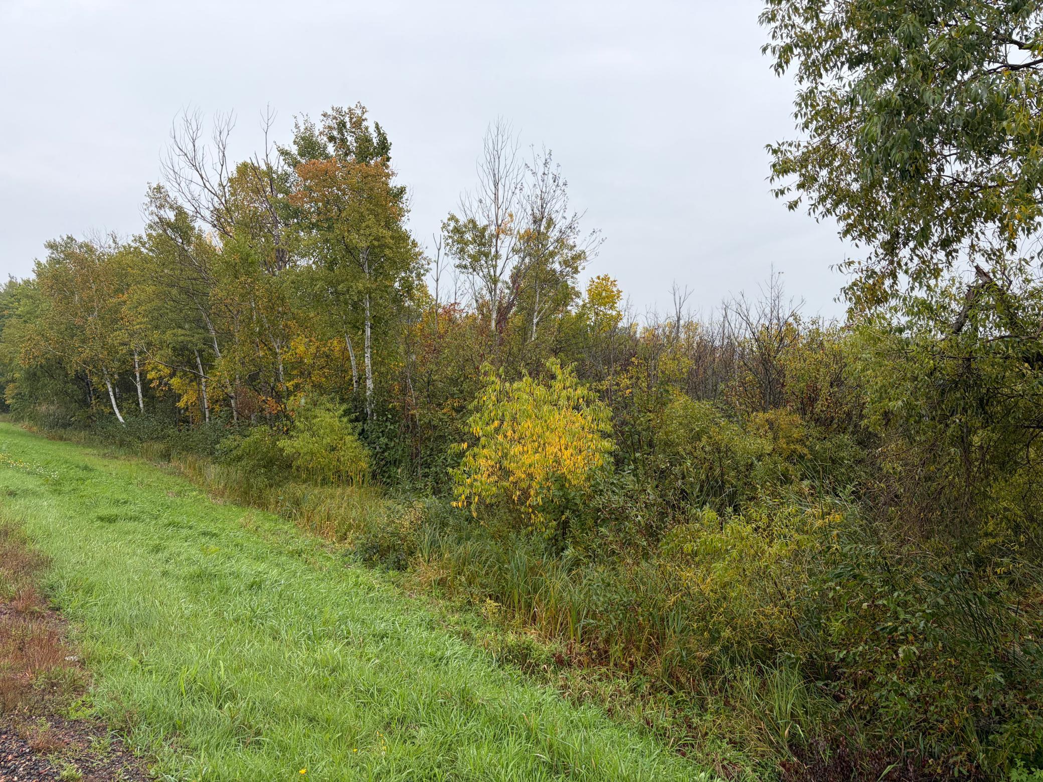Property photo for XXX Stevens Road, Onamia, MN 56359