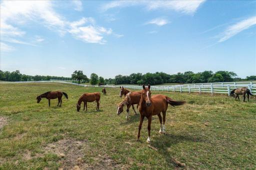12446 190th Street, Milaca, MN 56353