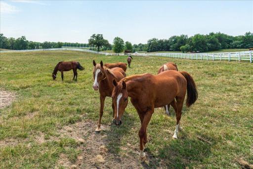 12446 190th Street, Milaca, MN 56353