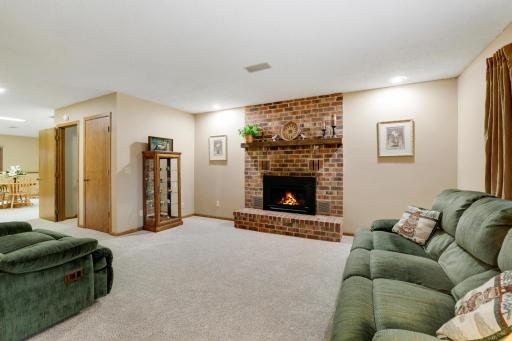 Gas Fireplace with Blower