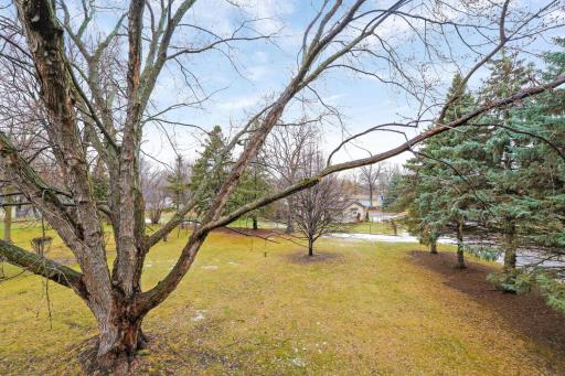 View from your deck!