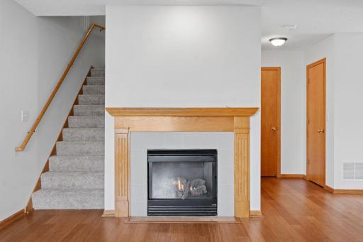 31 Landau Alcove, Saint Paul, MN 55125