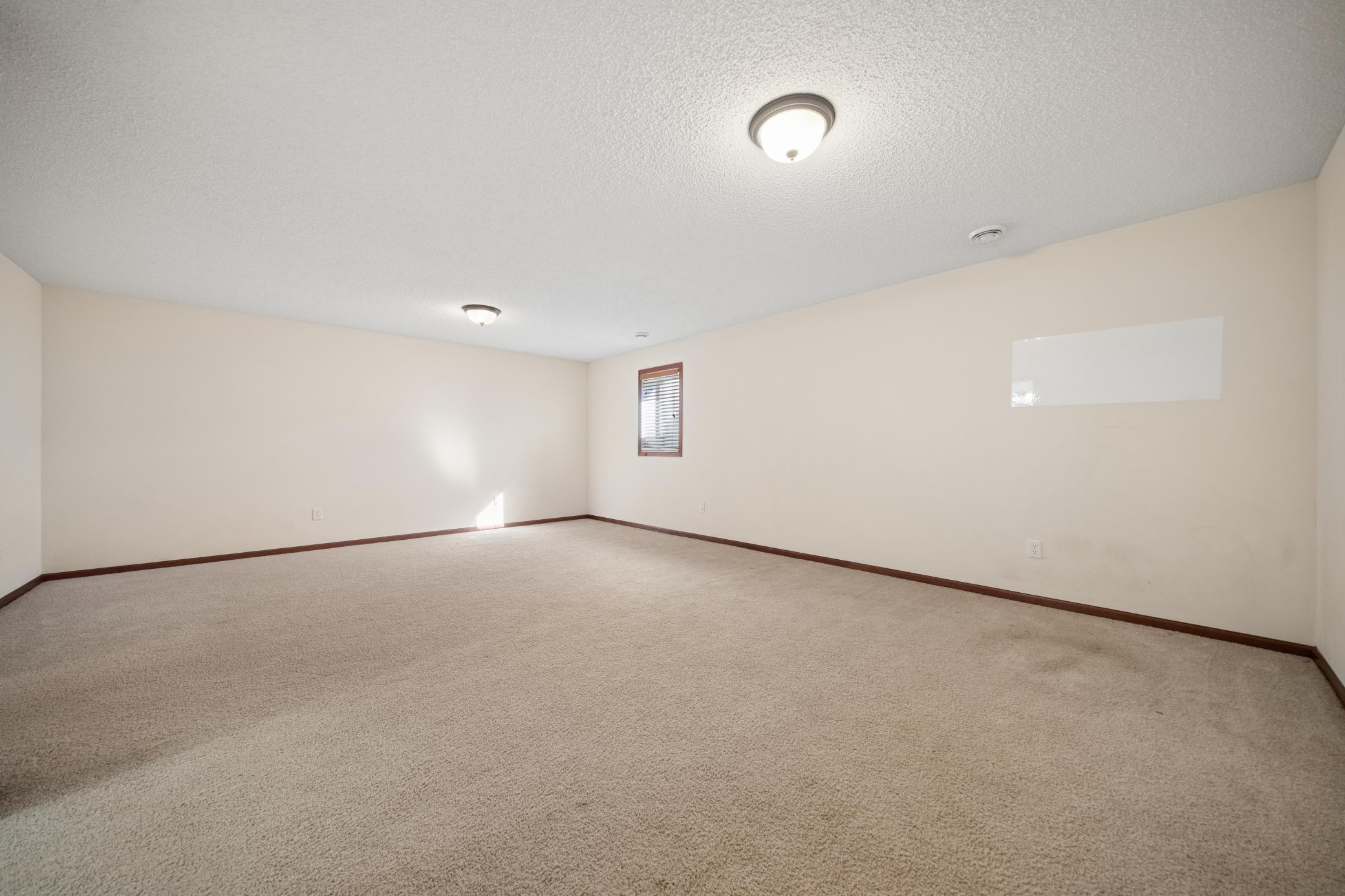 Large rec room located in the lower level