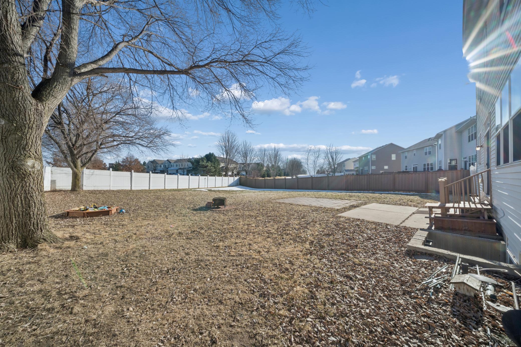 Ground level view of the backyard