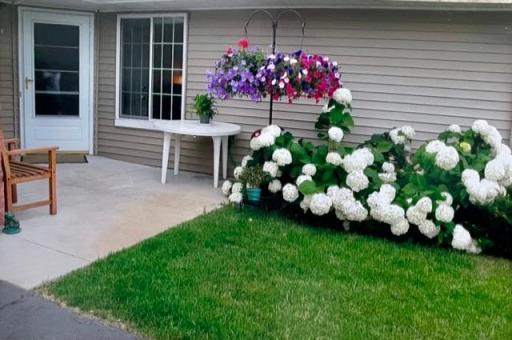 Beautiful hydrangeas by the front door *summer photo