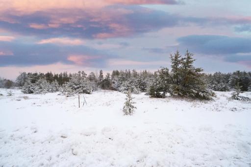 929 Dorado Drive N, Pillager, MN 56473