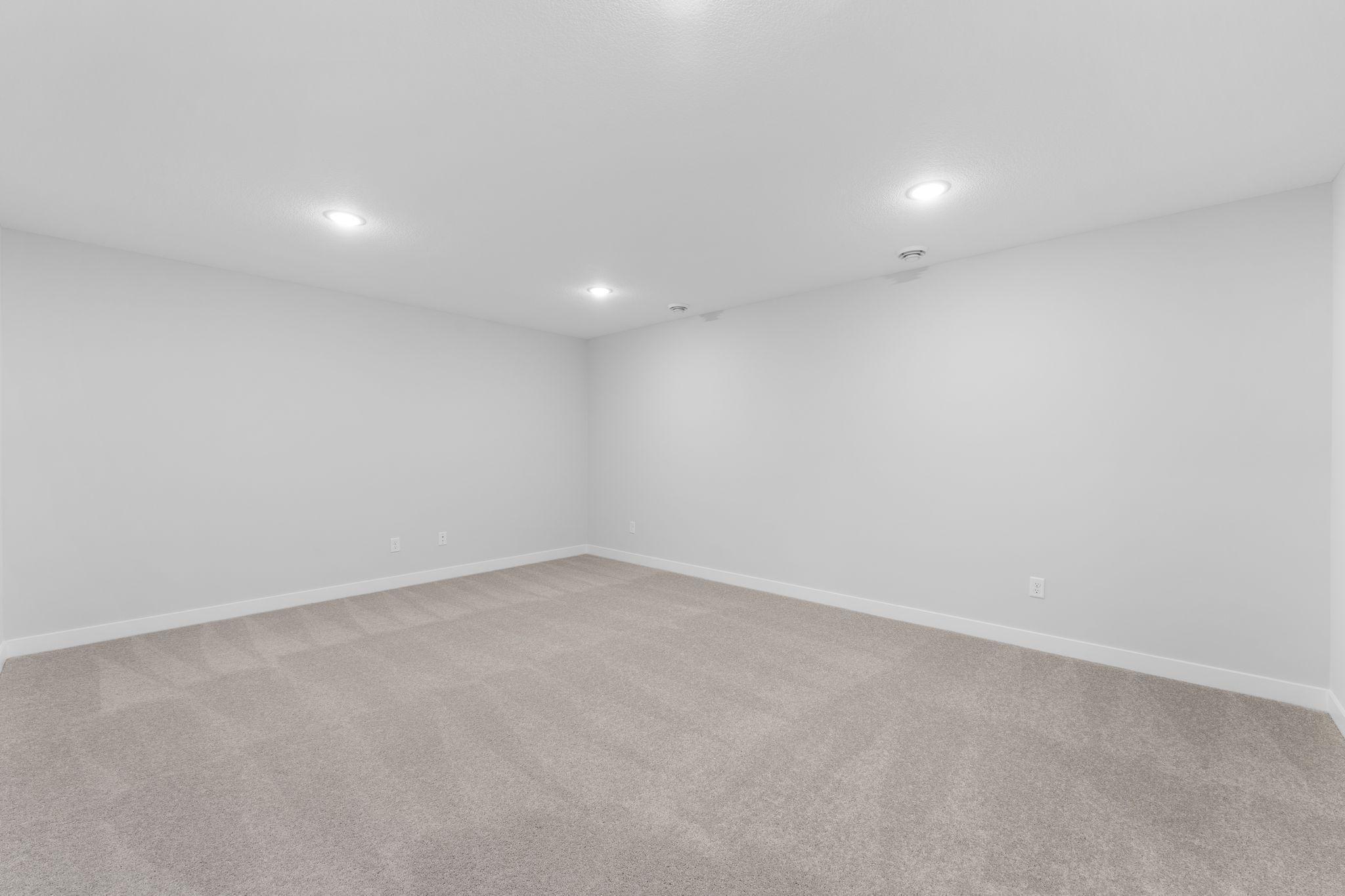 Family Room - Lower Level