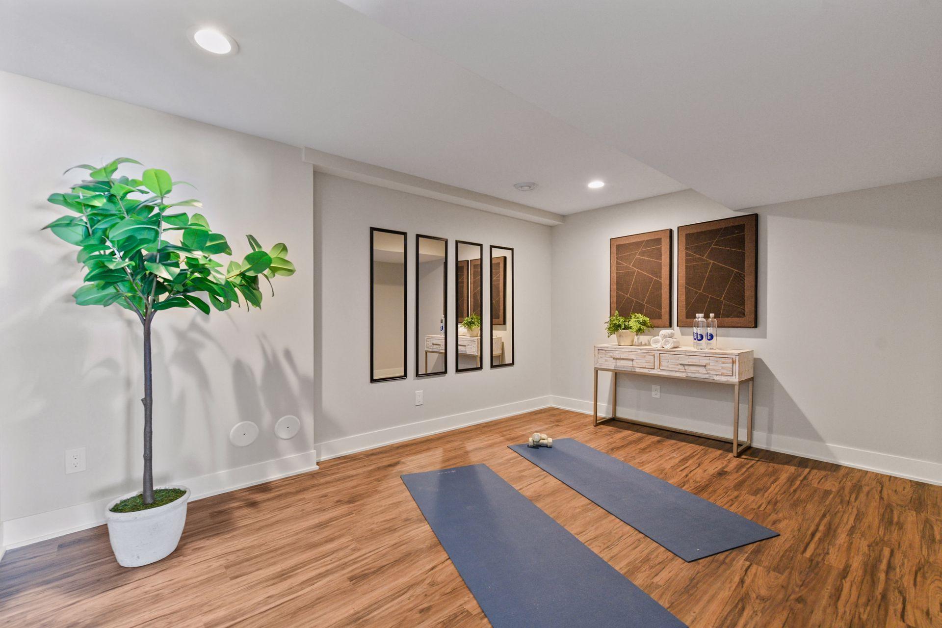 Lower level flex room