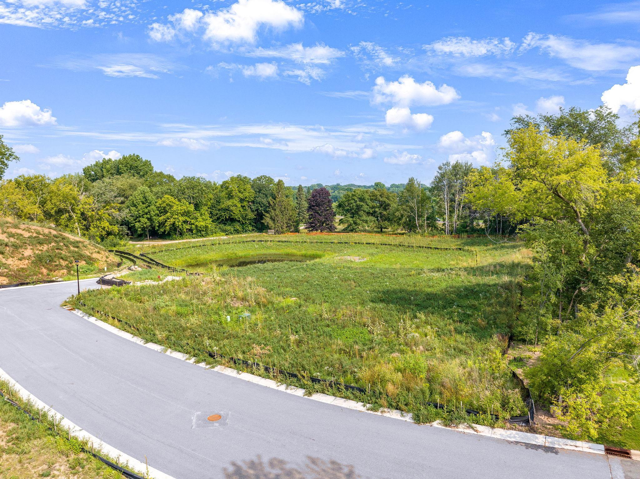 Generous lot depth allows flexibility for three-car garages, sport courts, or expanded outdoor living spaces. Plenty of room to design without feeling boxed in..jpg
