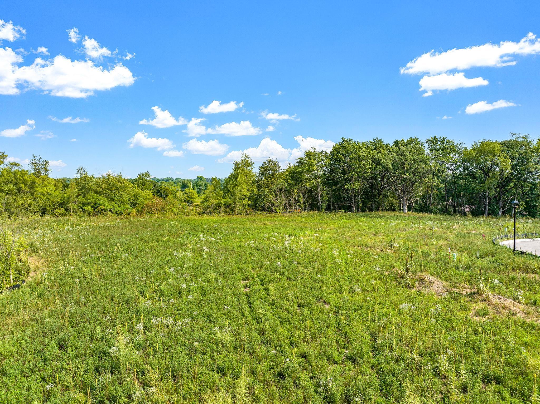 Spacious residential lots in a growing Rosemount neighborhood within District 196. Utilities are available at the street, making the building process smooth and builder-ready..jpg