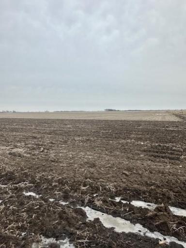 XXX 570th Avenue, Austin, MN 55912