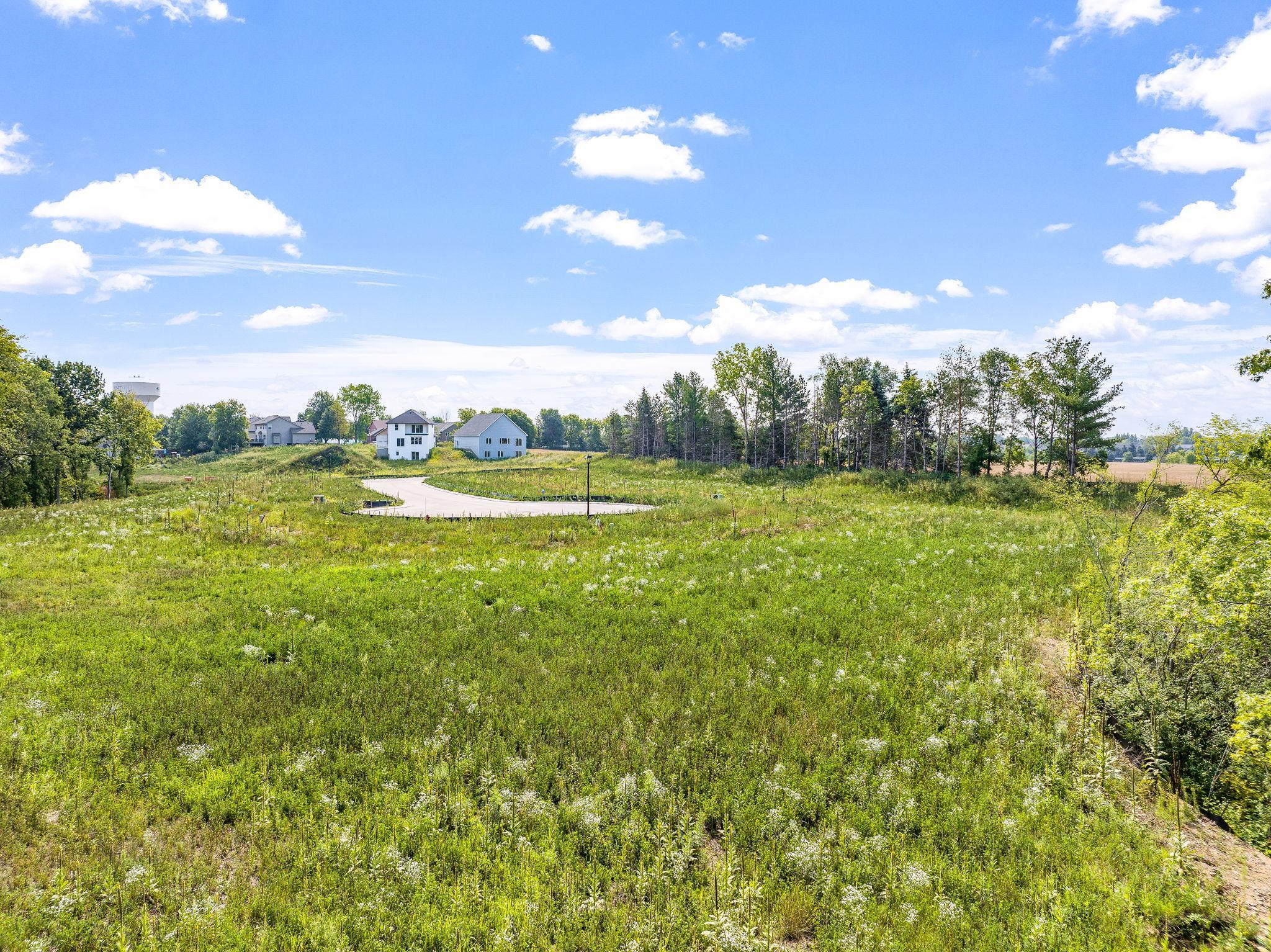 Beautiful wooded surroundings create a natural backdrop for your future home. Imagine oversized windows, a covered porch, or a walkout design framed by trees..jpg