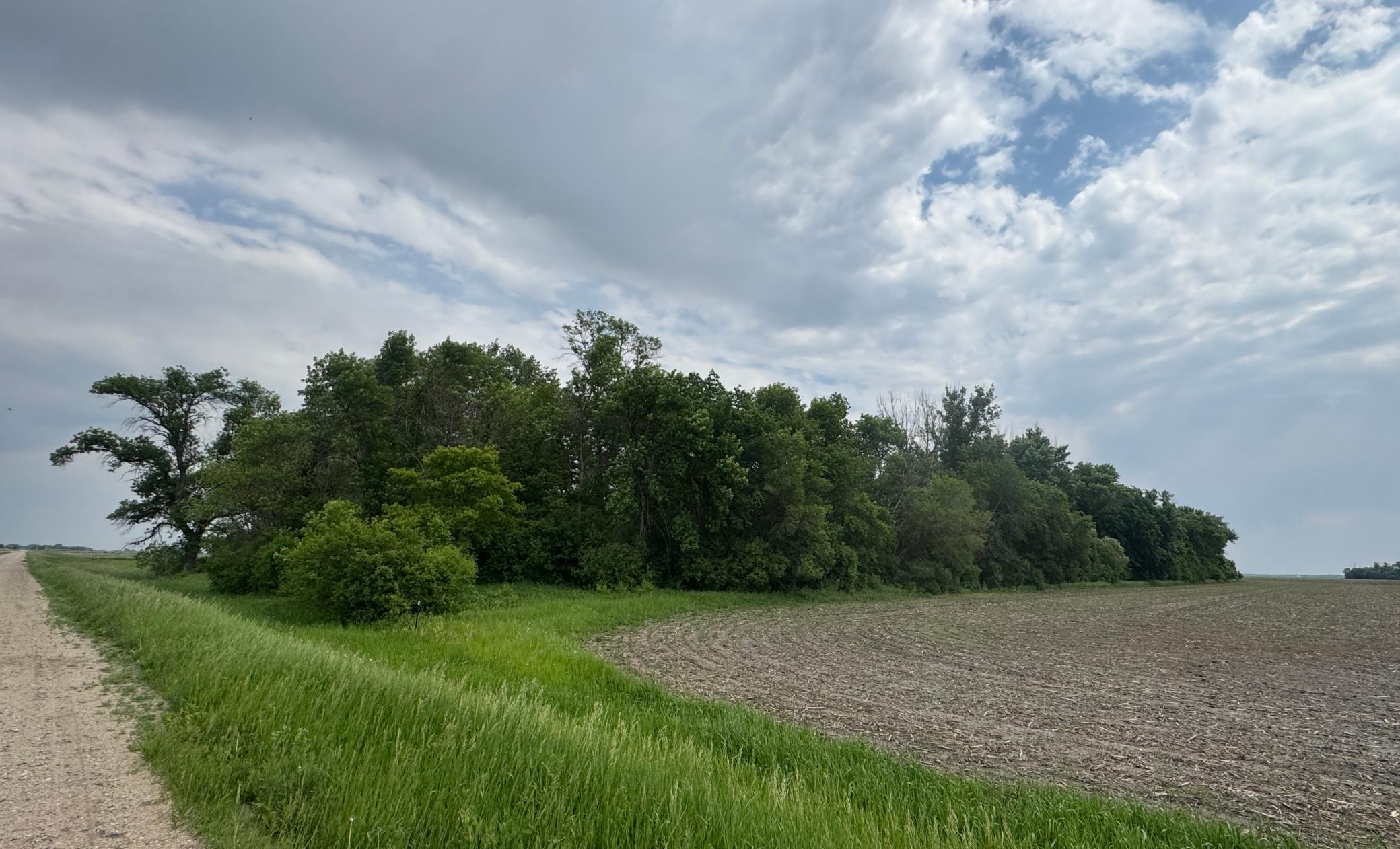 9.56 Acres