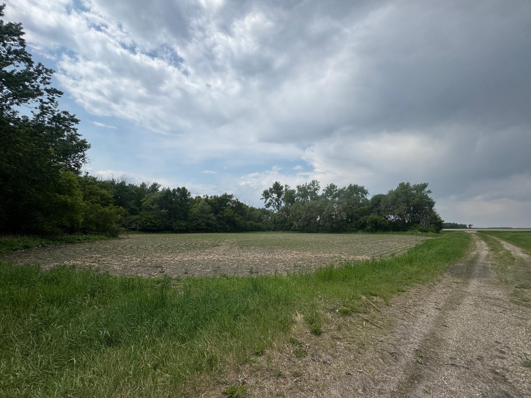 9.56 Acres