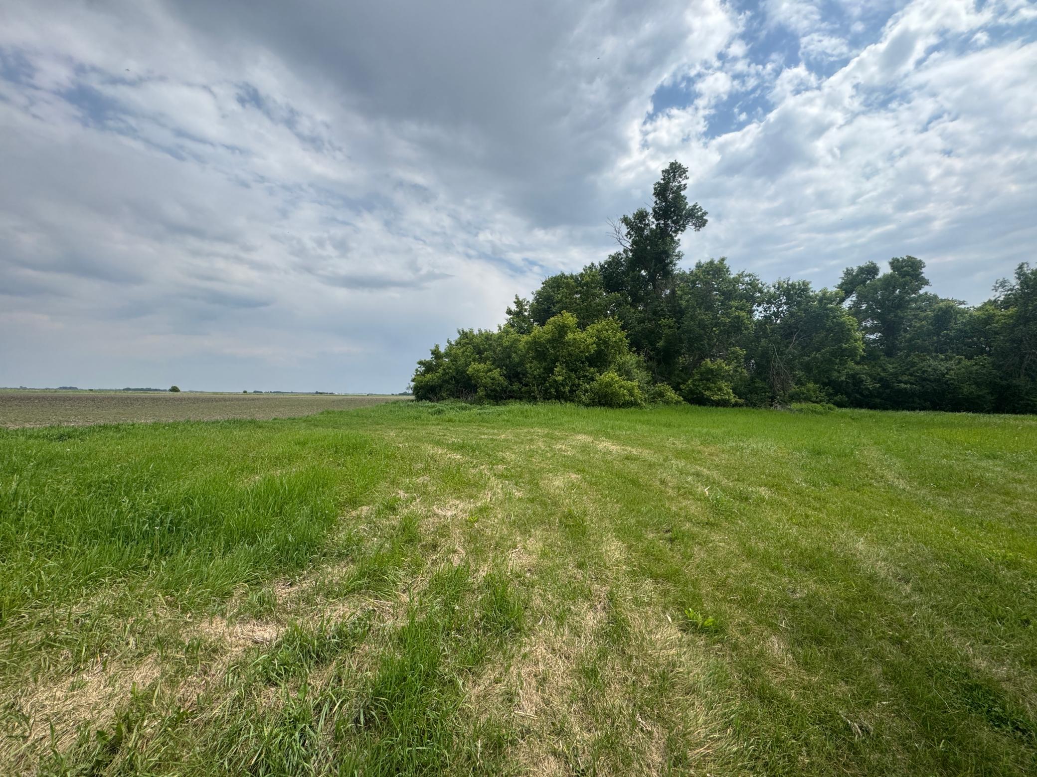 9.56 Acres