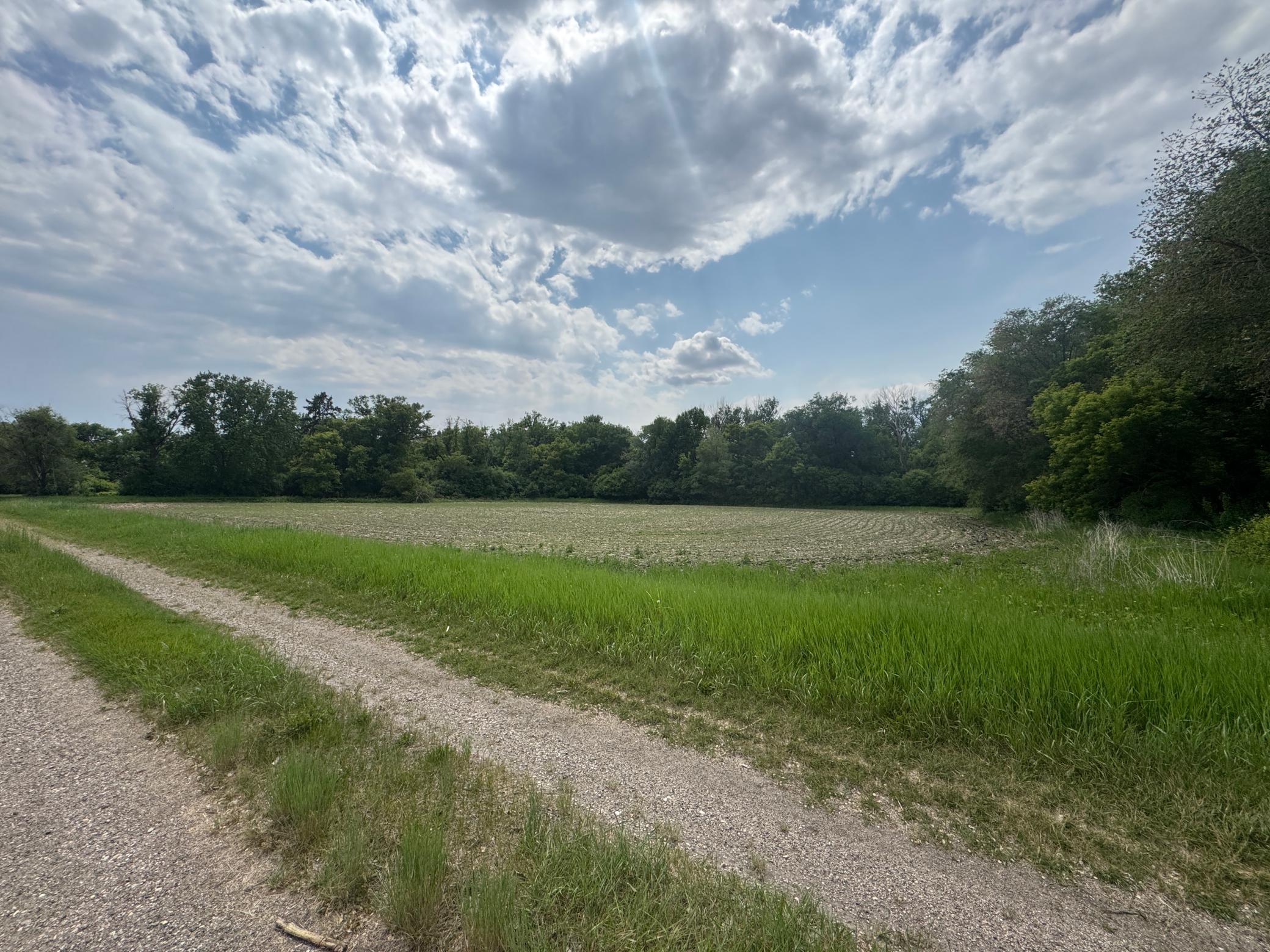 9.56 Acres