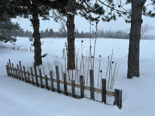29533 505th Avenue, Henning, MN 56551