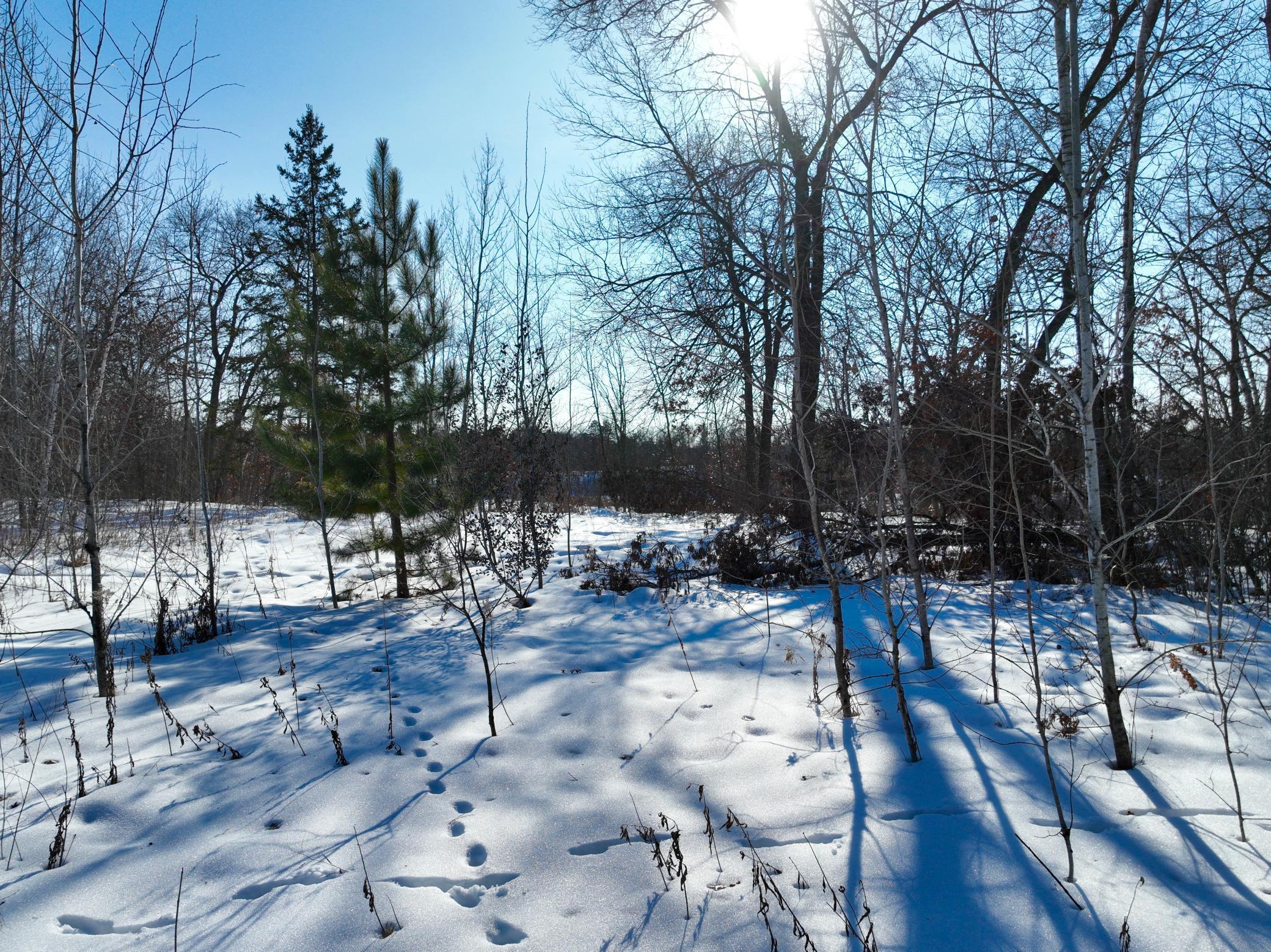 Copy of DJI_0235.jpeg