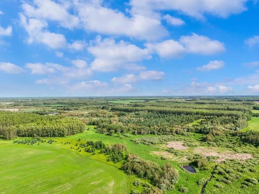 453XX Co Hwy 67 [C], New York Mills, MN 56567