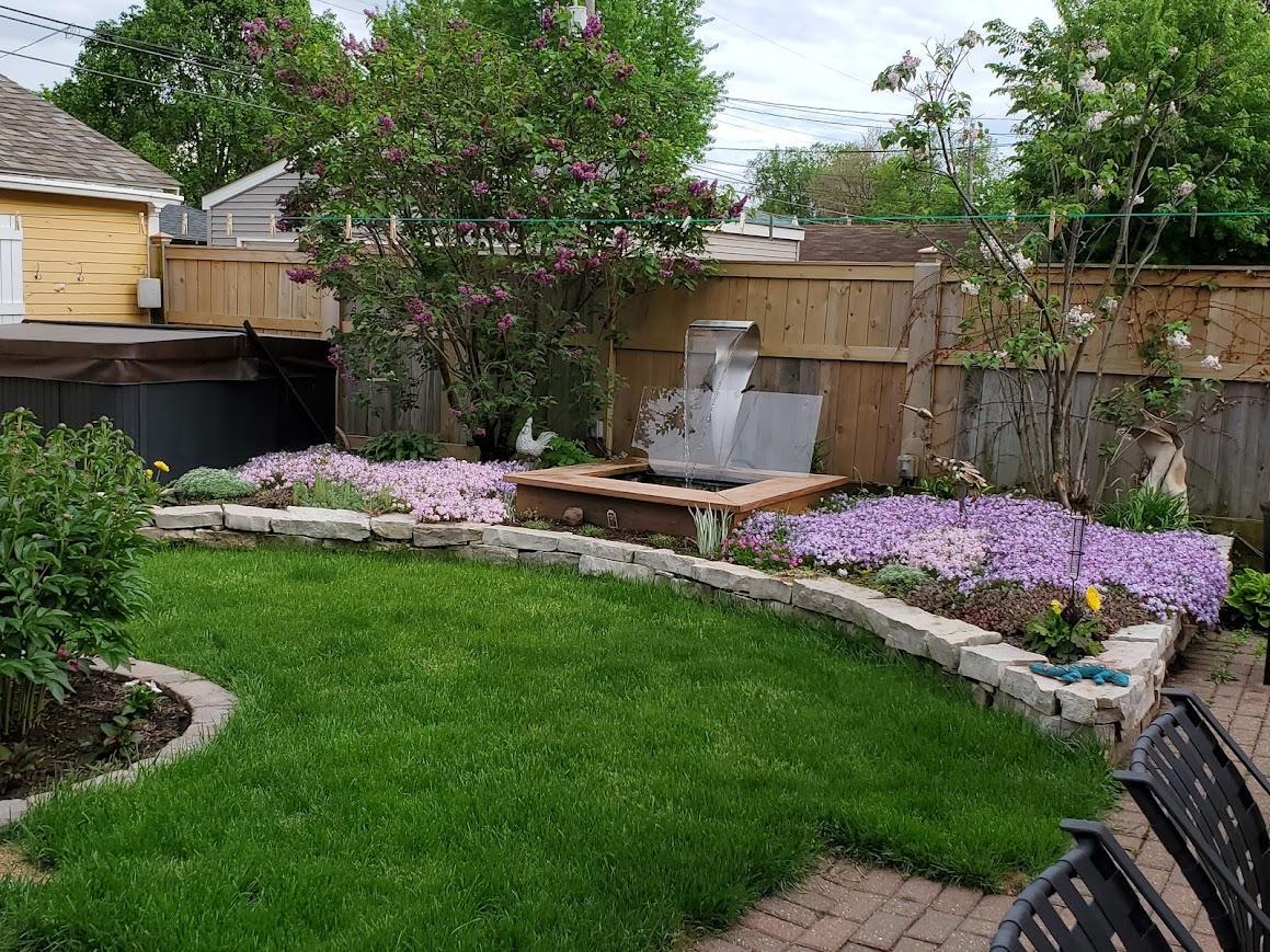 Backyard Fountain & Pond - Last Summer