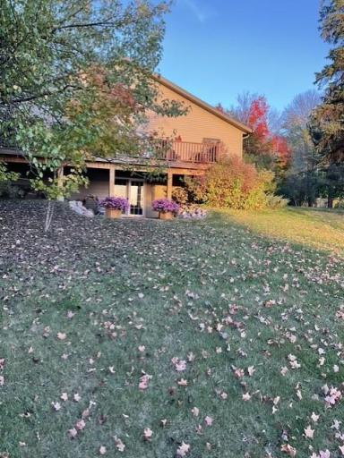 back yard.jpg