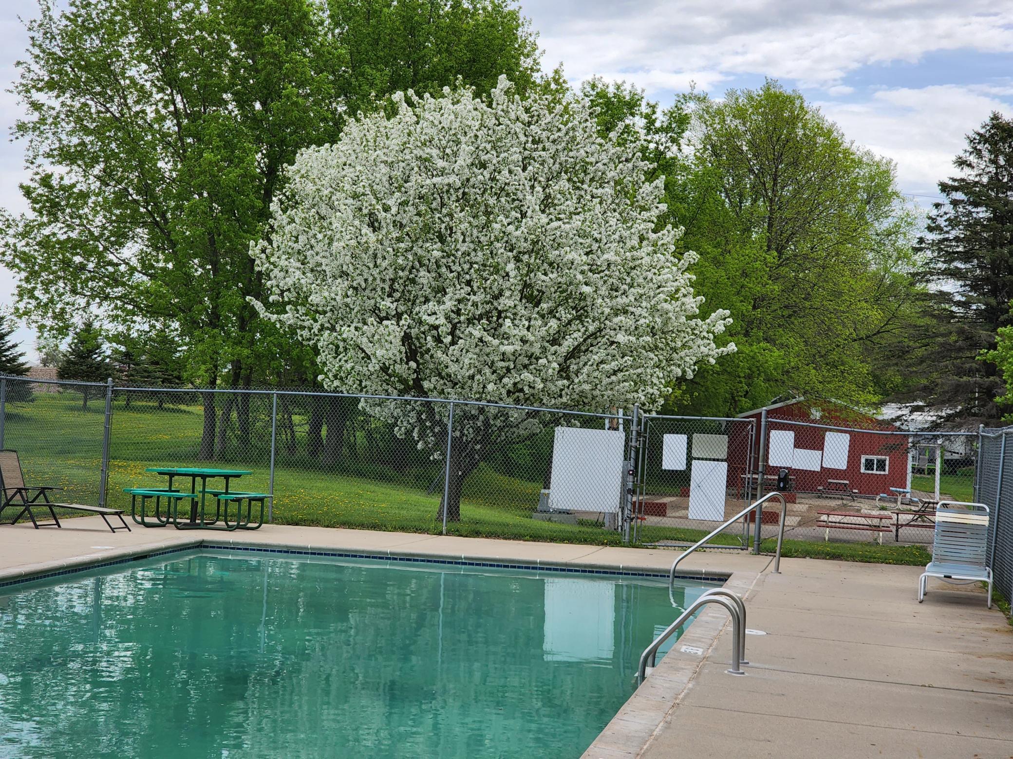 Spring Time Glory around the Park!