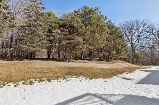 2437 Skyline Drive, Minneapolis, MN 55425