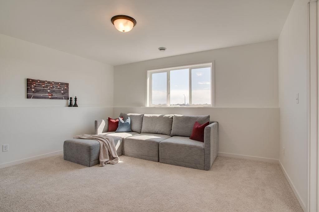 Lower Family Room