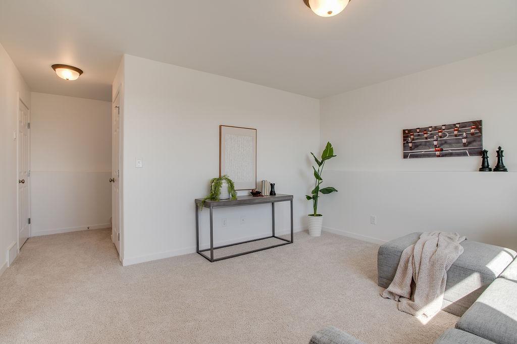 Lower Family Room