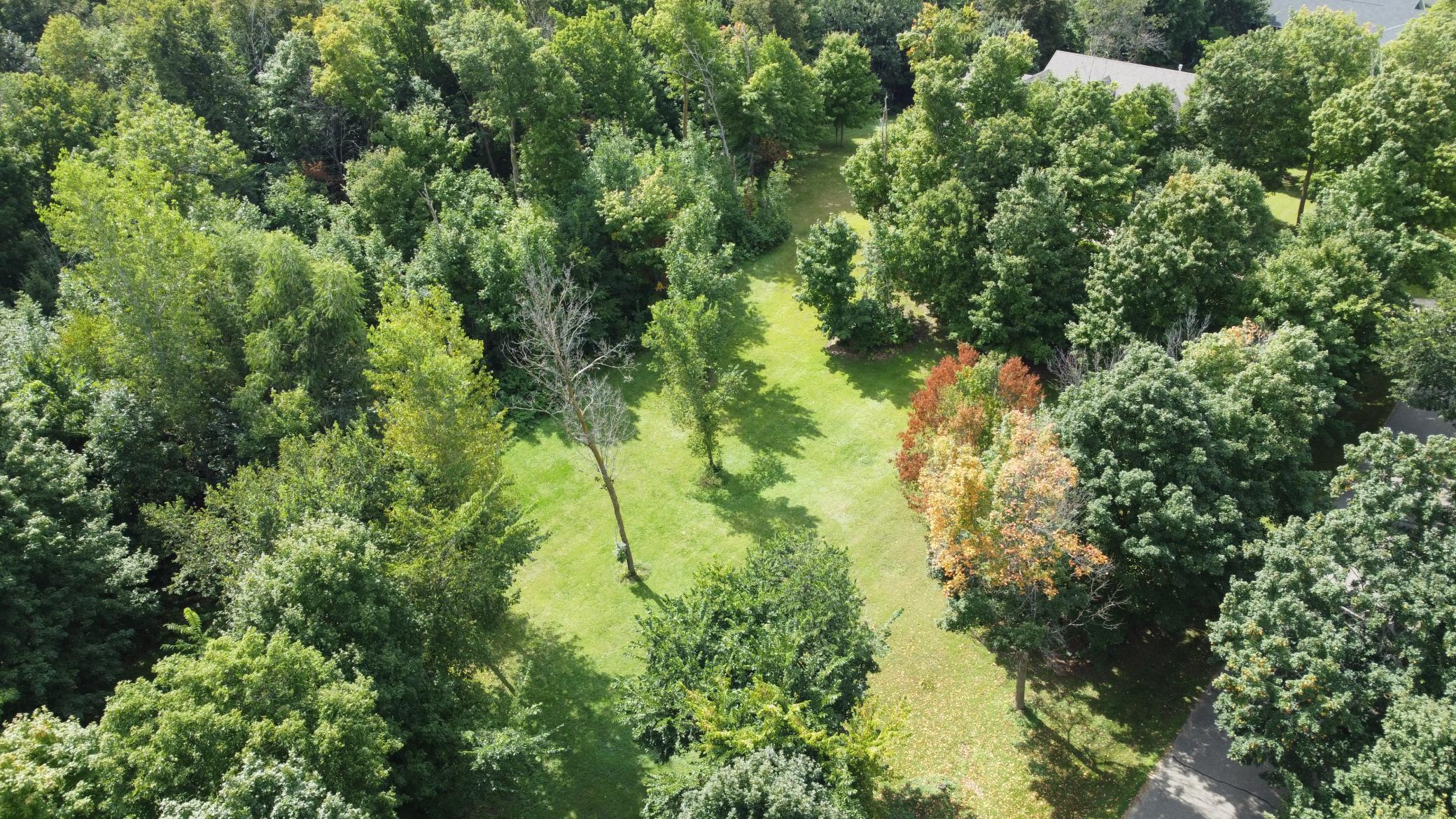 DJI_0876.JPG