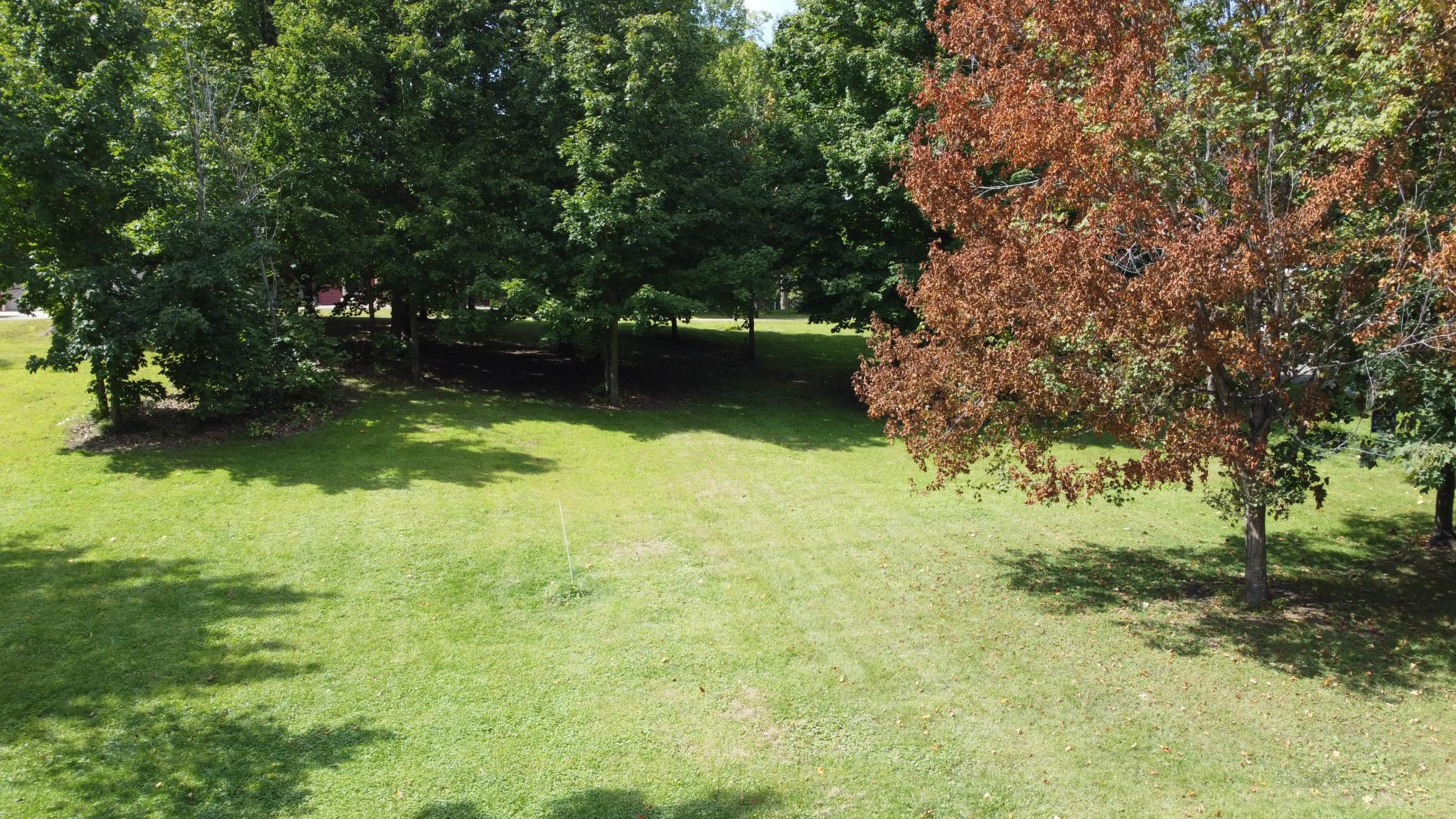DJI_0875.JPG