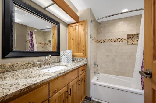 1655 Lake Lucy Road, Excelsior, MN 55331