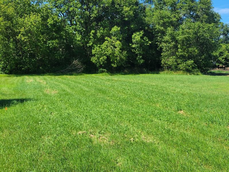 Cedar St Easton lot 2.jpg