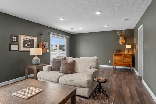 The lower level walks out to the backyard, and has plenty of room to entertain guests.