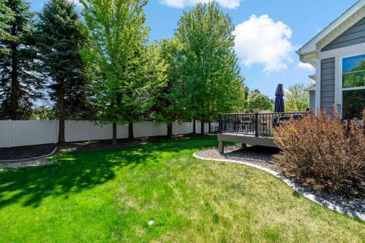 Back yard with Privacy fence and tree line!