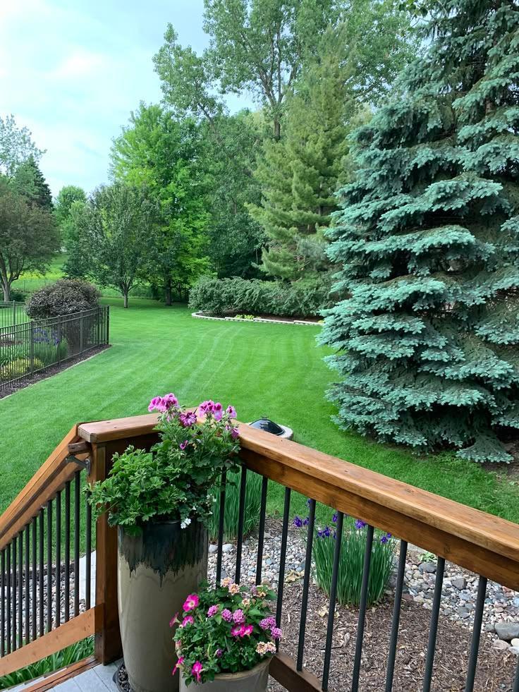 Back Deck by Waterfall