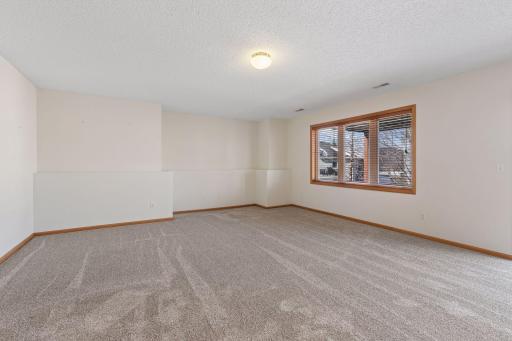 The entire lower level and staircase, have a brand new carpet