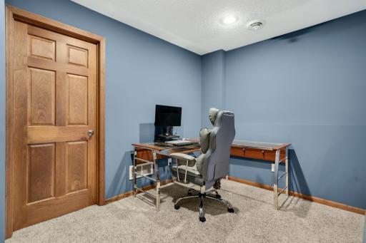 5th bdrm in LL is currently used as a dual space for work from home. This bedroom has an extensive walk in closet.