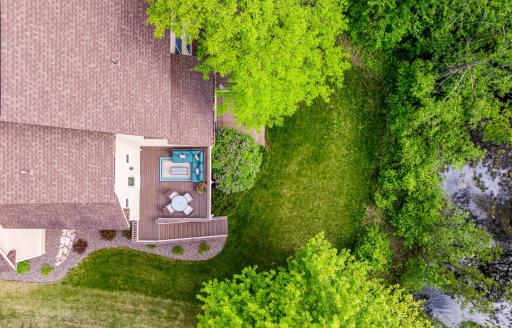 Lush backyard