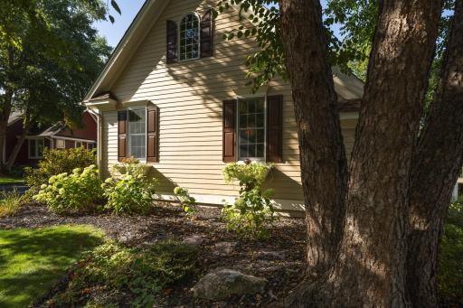 Mature landscaping
