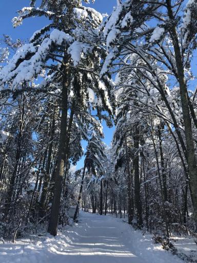 lovely in winter also