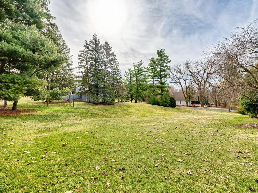 Incredible green space surrounding the property