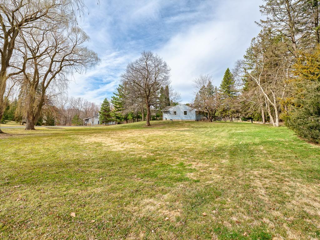 Watch for varieties of wildlife at your back door!